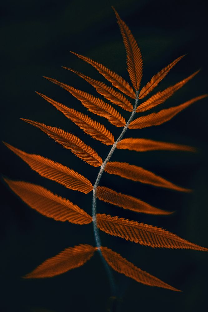 Фотография автора Оксана Ильченко