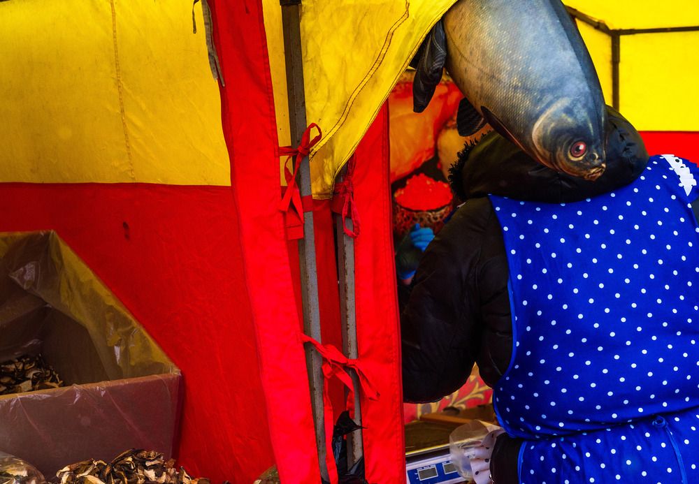 Photograph by Дарья Чертыковцева