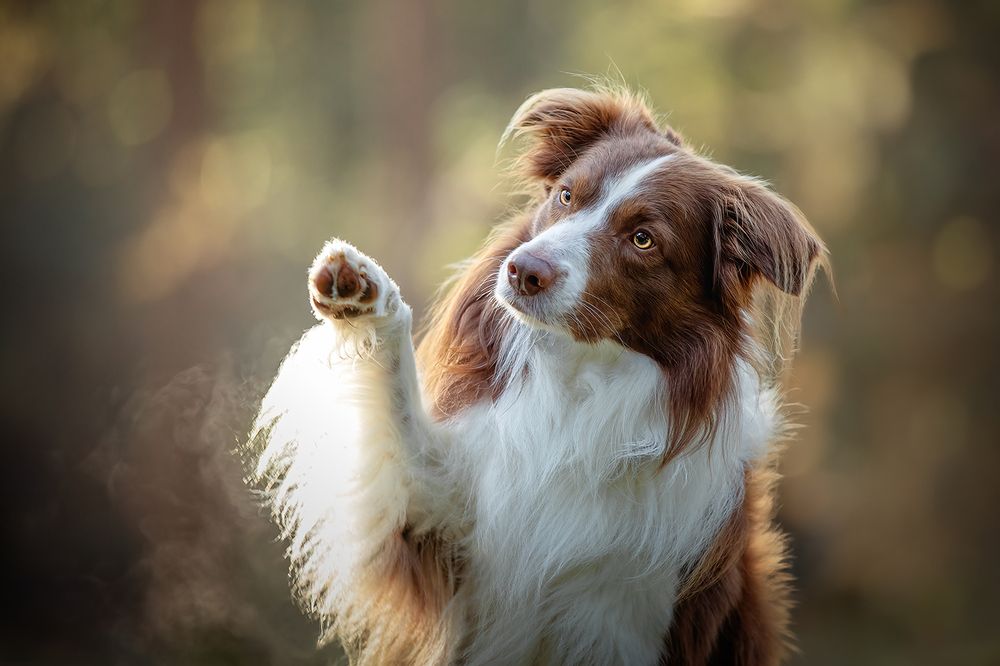 Photograph by Eva Bos