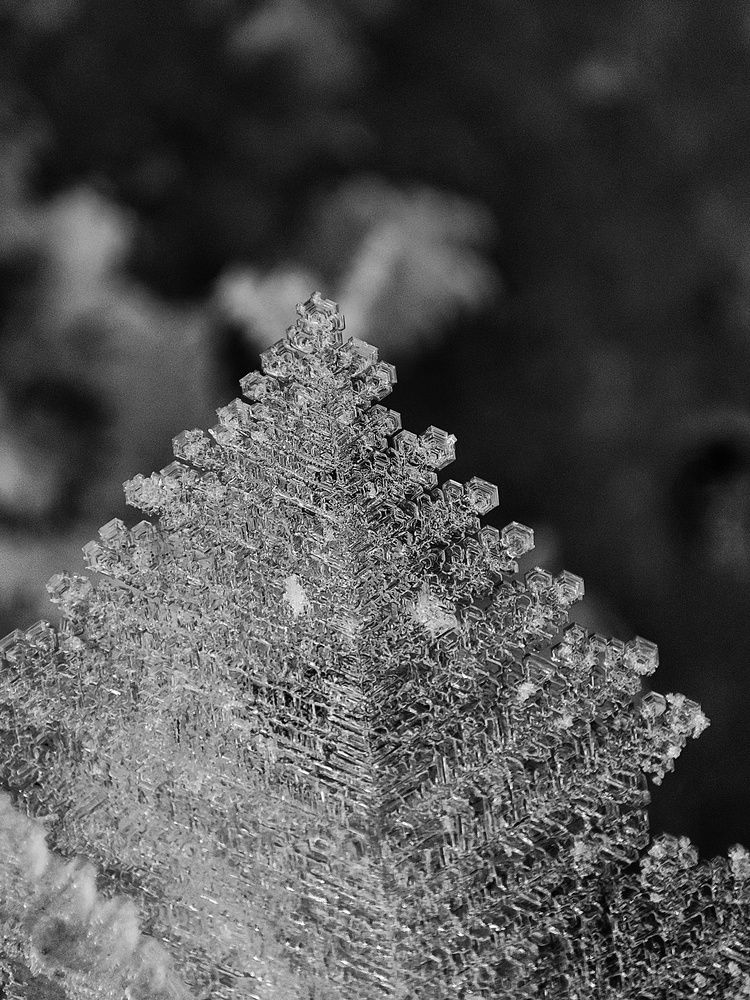 Photograph by Ehsan Fathi