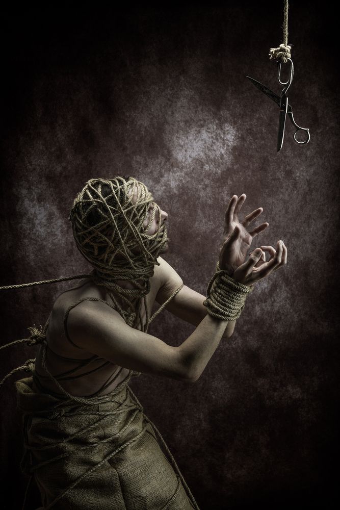 FREEDOM/Свобода