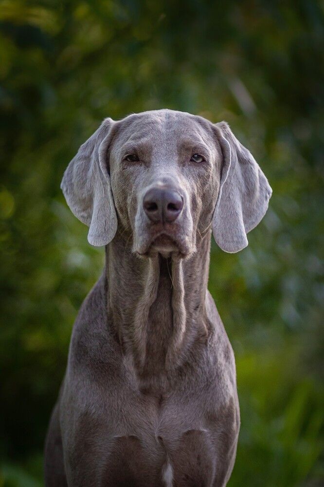 Photograph by Алексей Ефанов