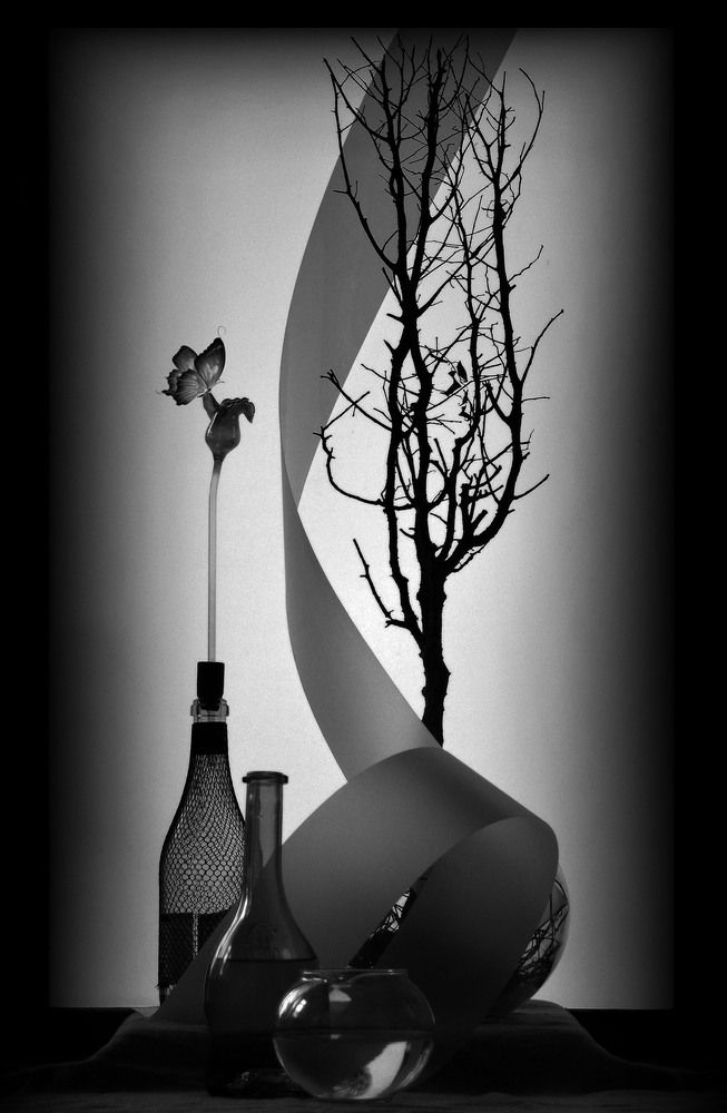 Photograph by Александр Зарх