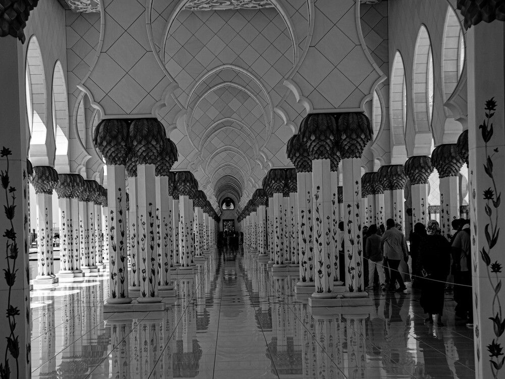 Photo #11870287