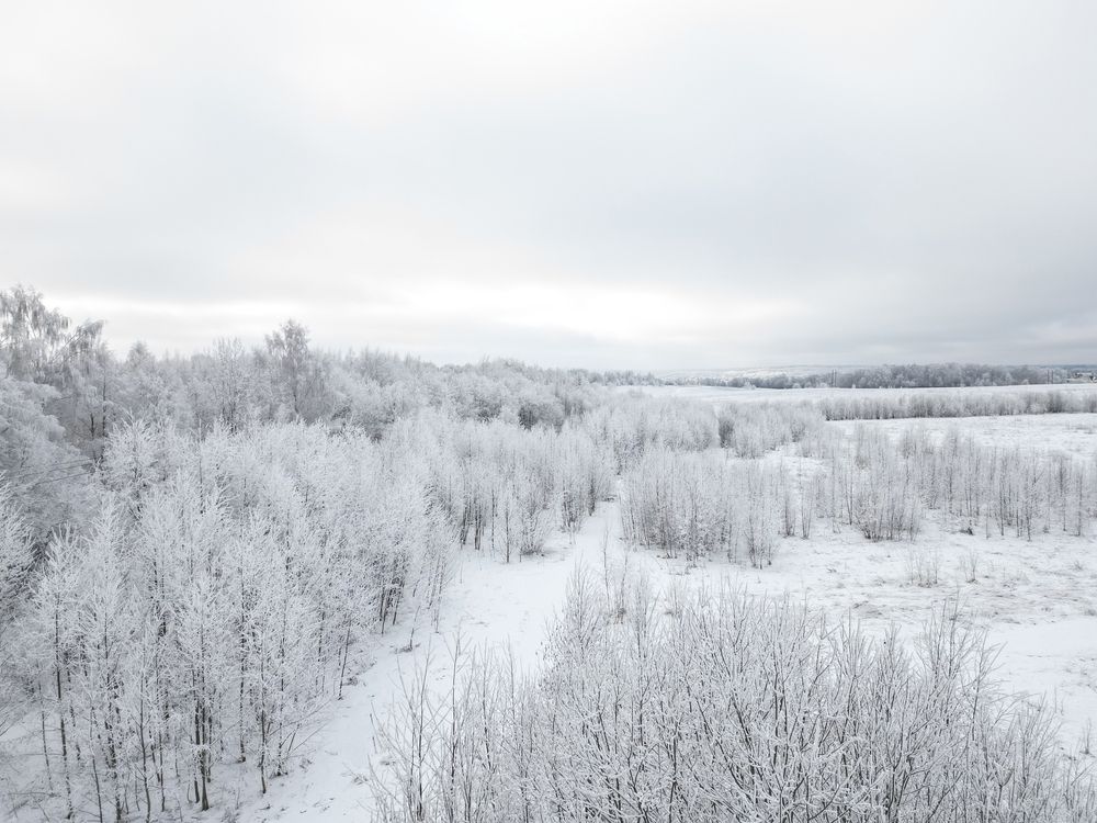 Photograph by Дарья Воронкова