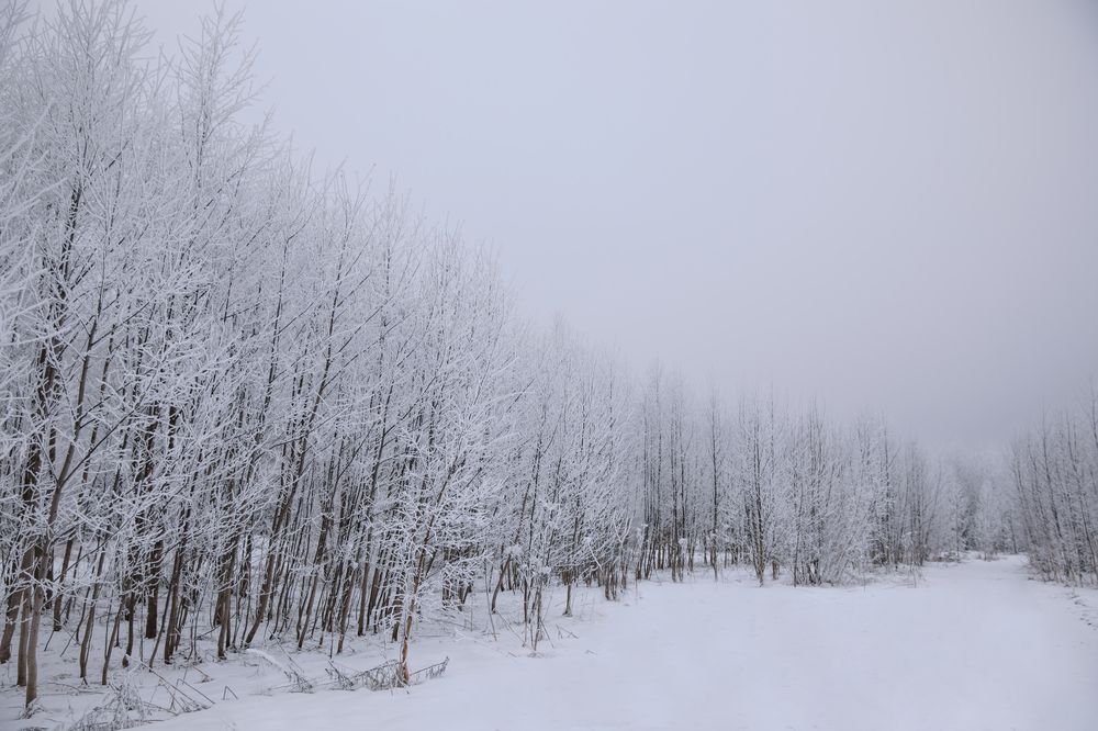 Photograph by Дарья Воронкова