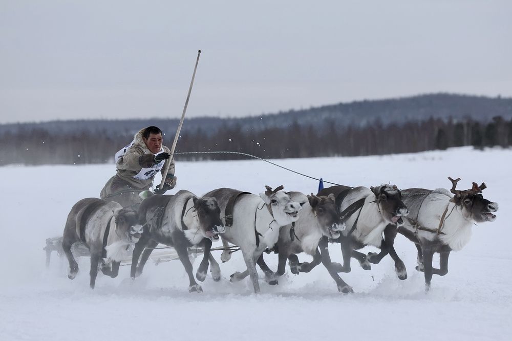 Вперёд к победе