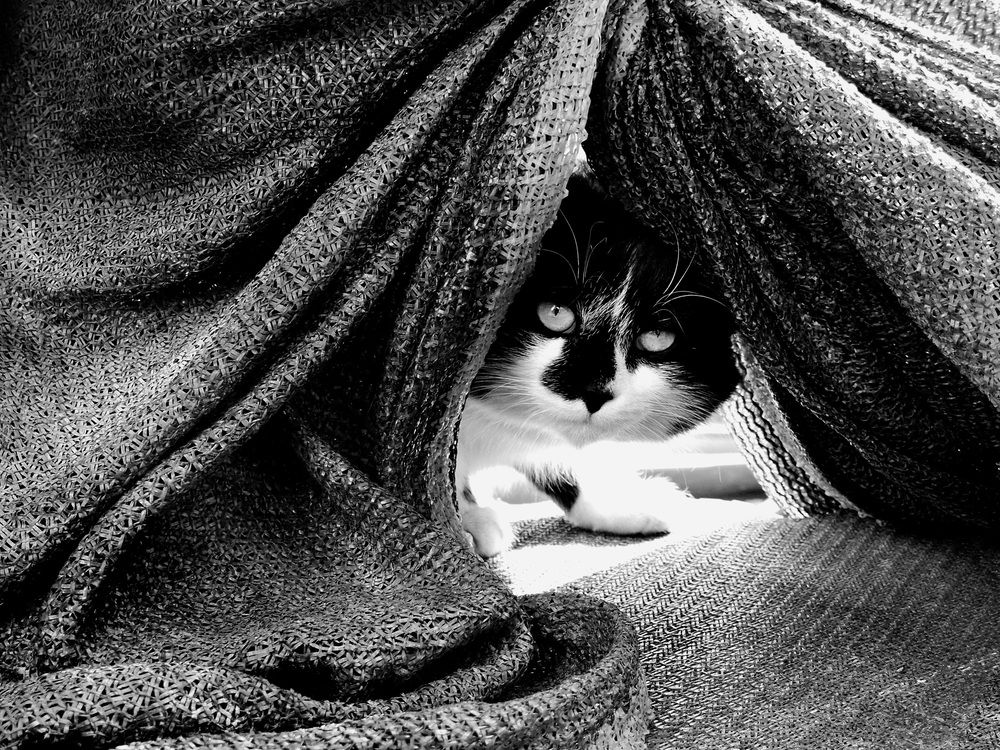 Photograph by Муза Латинская