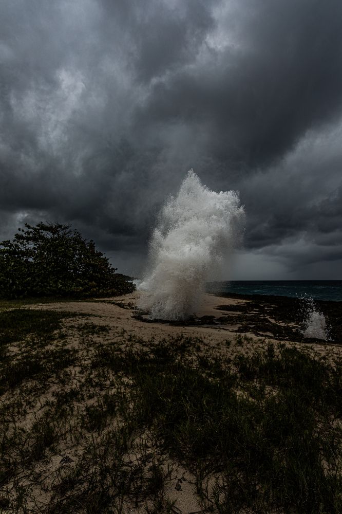 Photograph by Wojtek