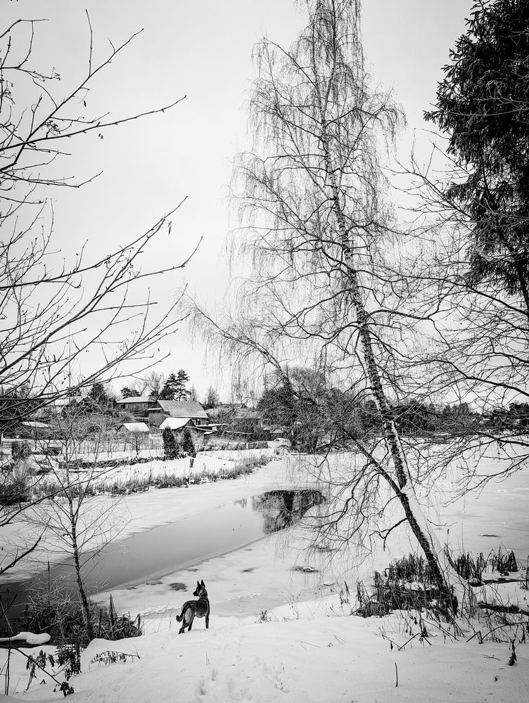 Photograph by Антон Огородов