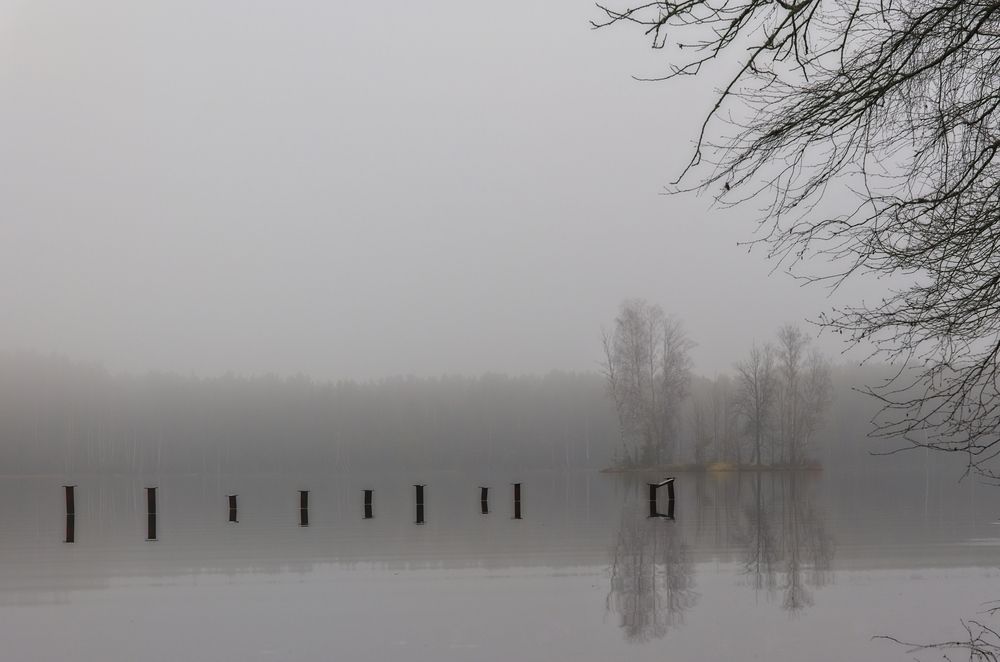 Photograph by Криволуцкий Вячеслав