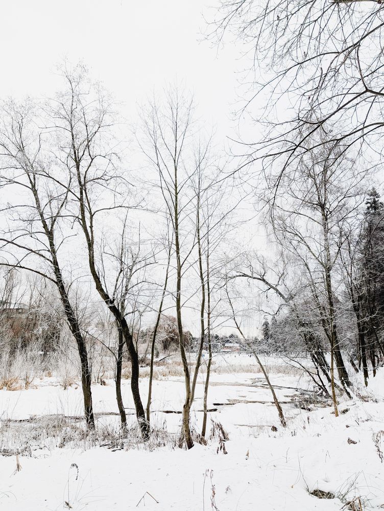 Photograph by Антон Огородов