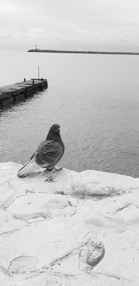 Photograph by Светлана
