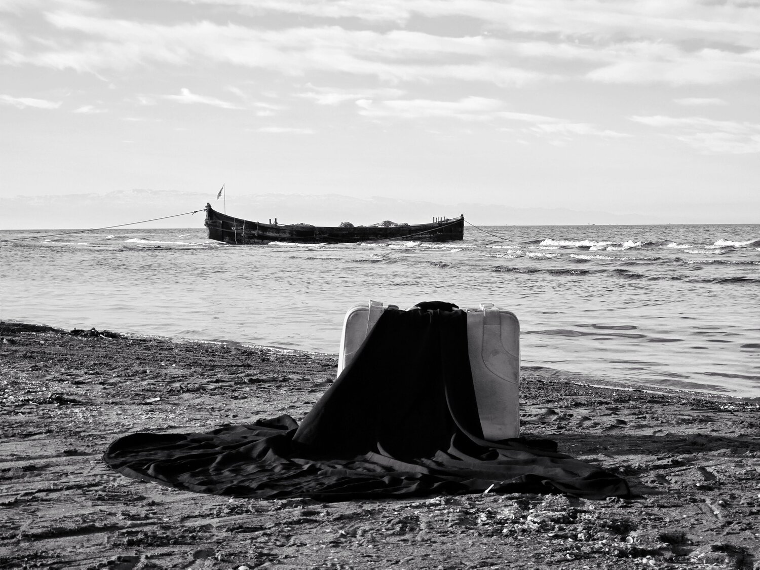 Photo #11870437