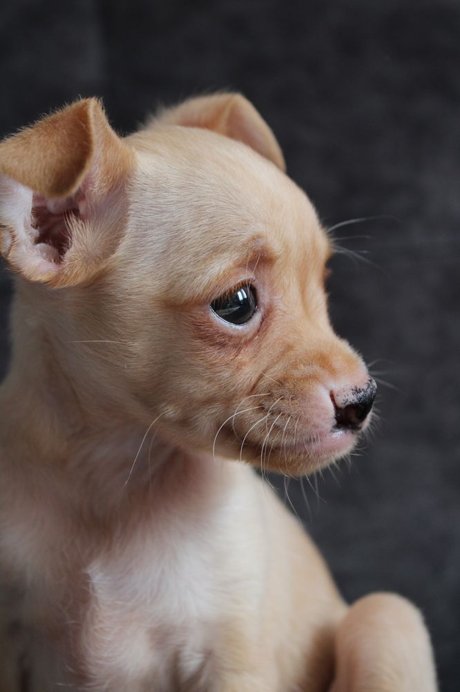 Photograph by Юлия Чурина