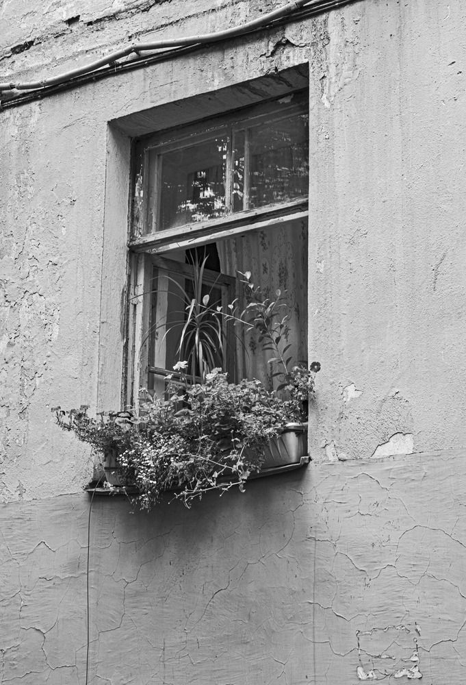 Photograph by Анна Васильева