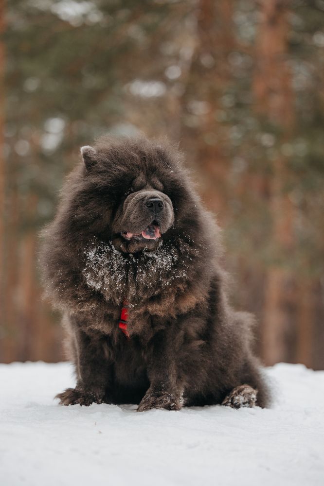 Photograph by Светлана Степашина