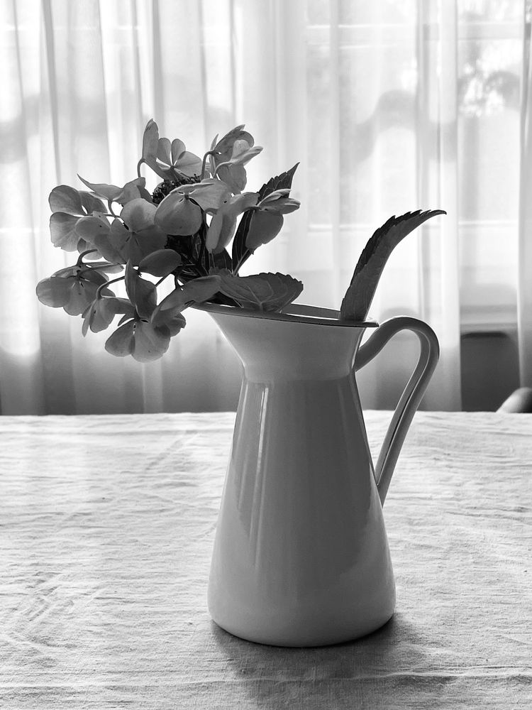 Photograph by Жанна Полуянова