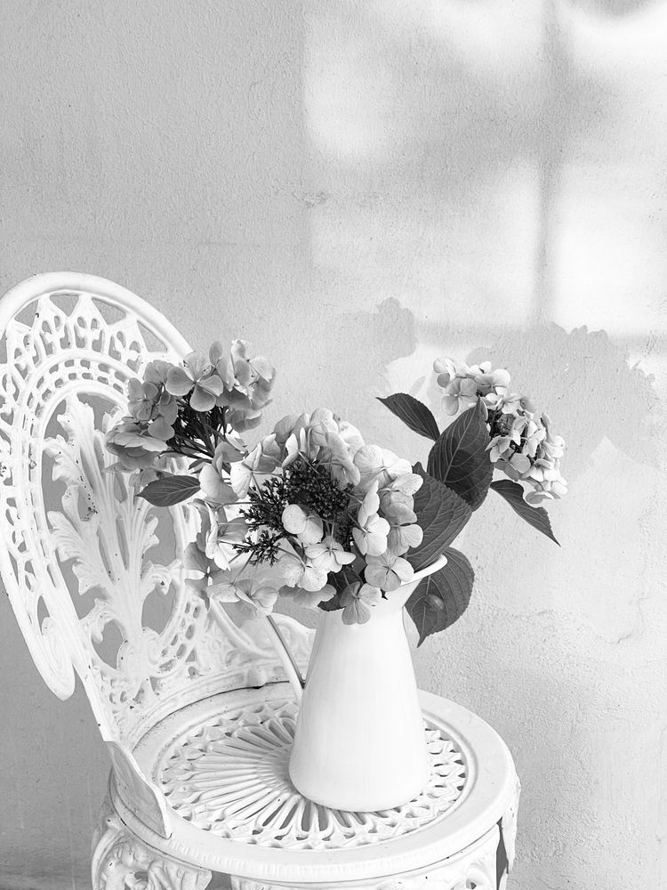 Гортензии на закате