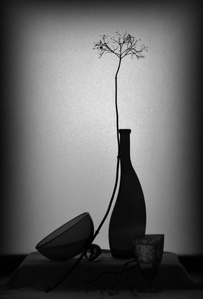 Photograph by Александр Зарх