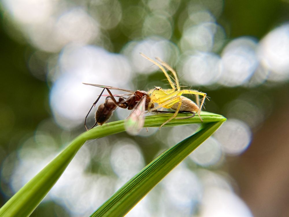Photograph by Abhijit Roy