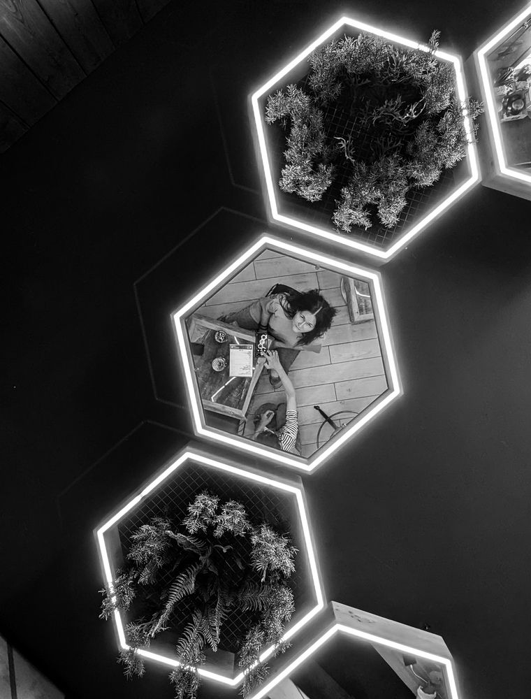 Фотография автора Ксения Шляйхер