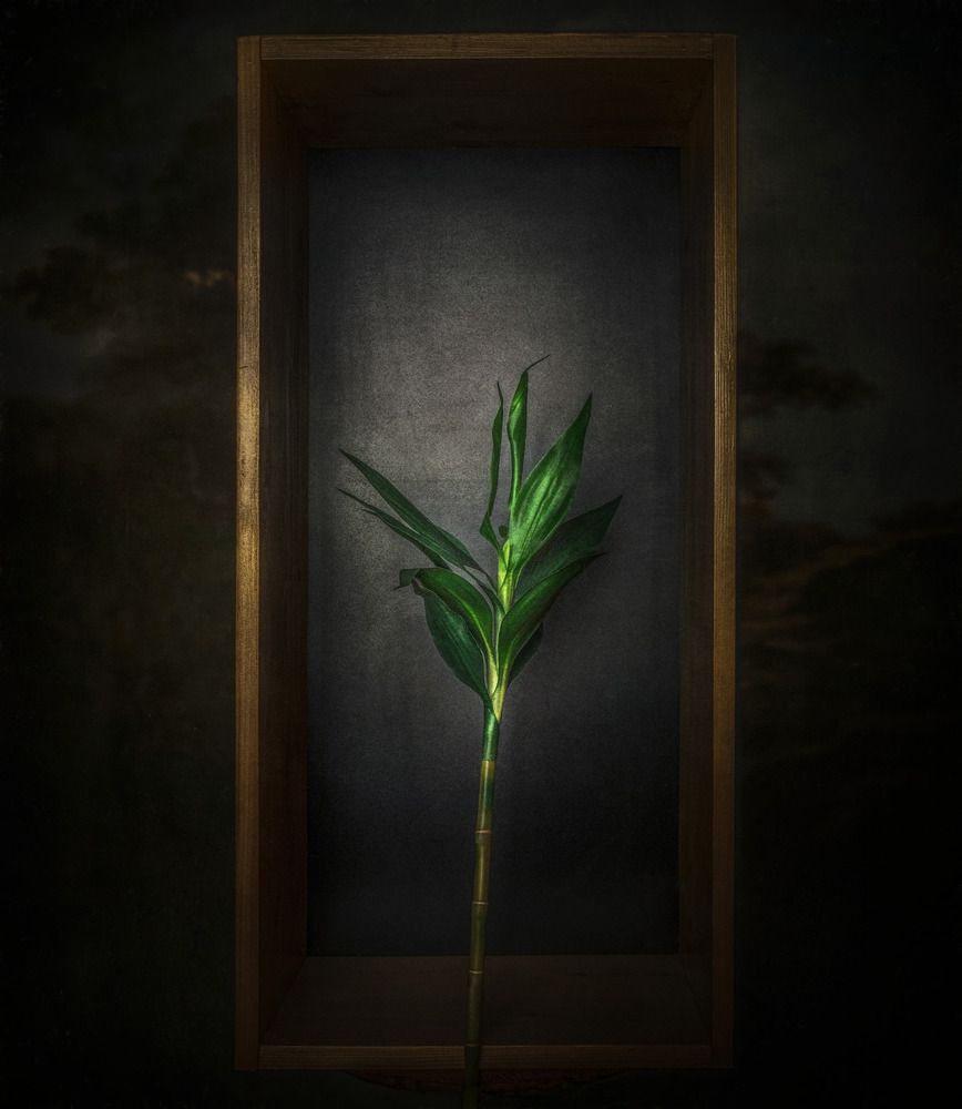 Photograph by ovidiu horneac