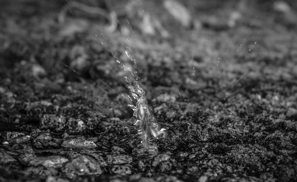 Фотография автора Геннадий Коробов