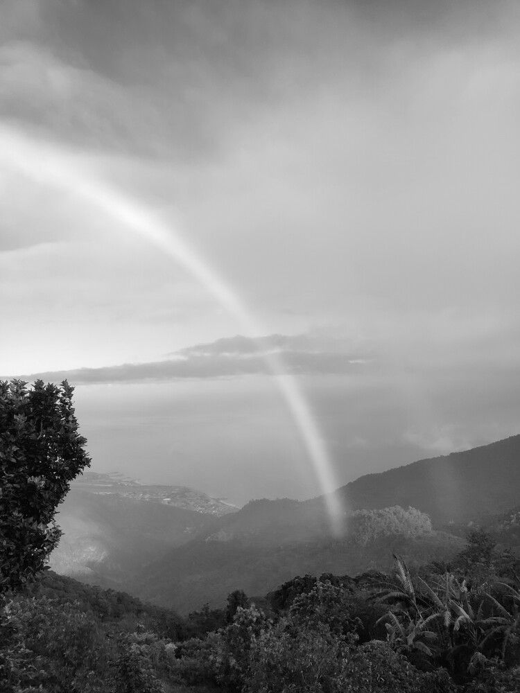 Photograph by Marzio Fattorini