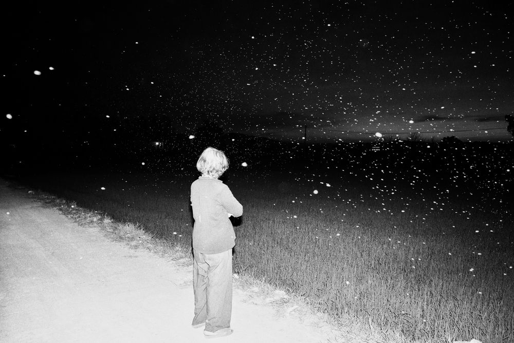 Photograph by nhutphat Chung