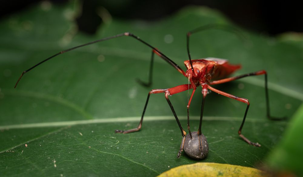 Photograph by Ankan Das