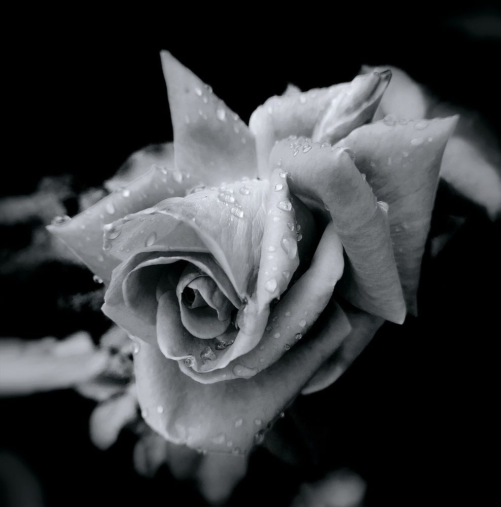 Фотография автора Анатолий Борисенко