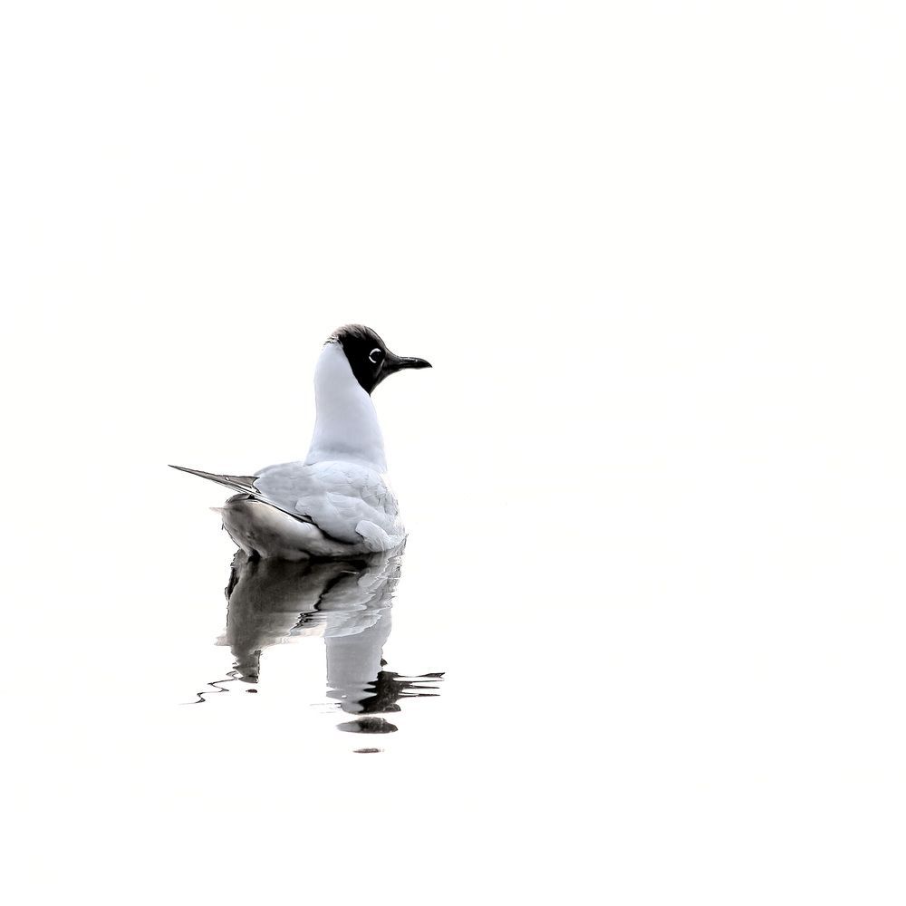 Photograph by Victor Shaposhnikov