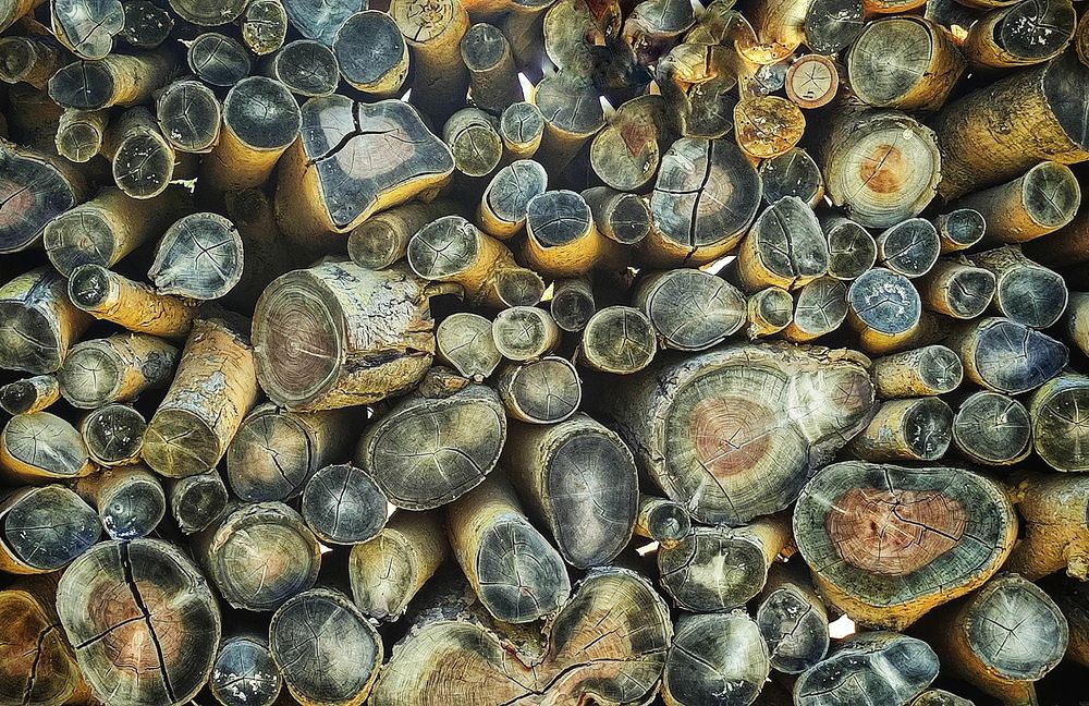 Photograph by Александр Халимов