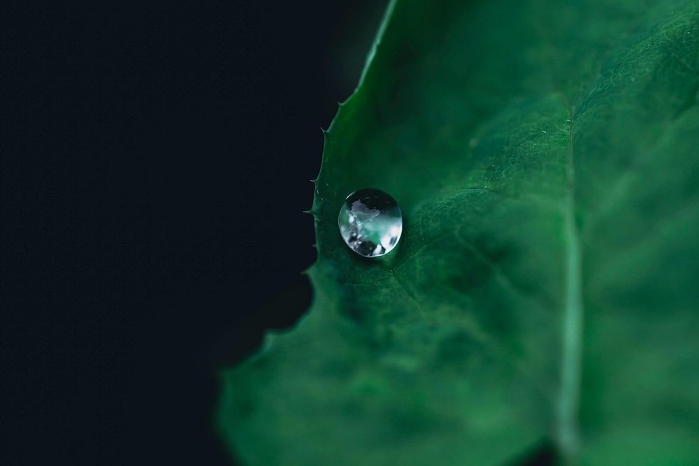 Фотография автора Helena Ivanova