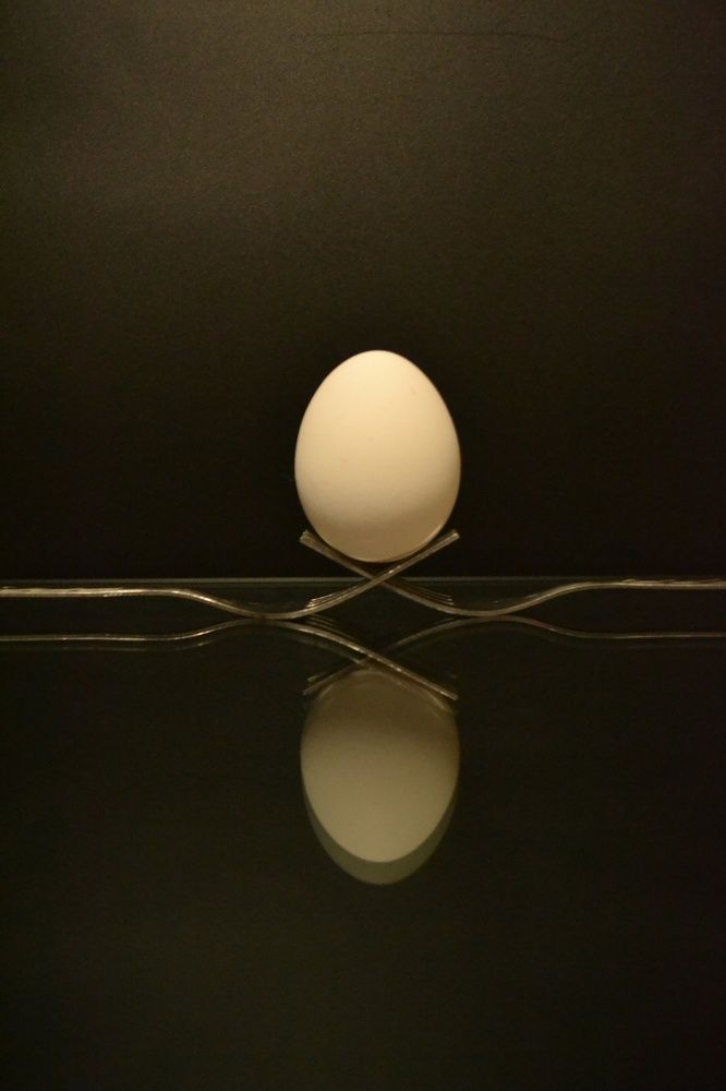 Фотография автора Елена Дубовикова