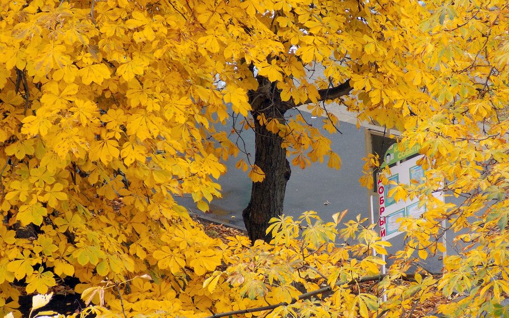 Photograph by Сергей Рудаков