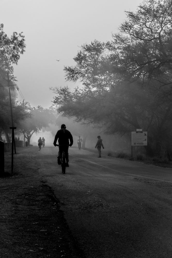 Pedals and Perspective