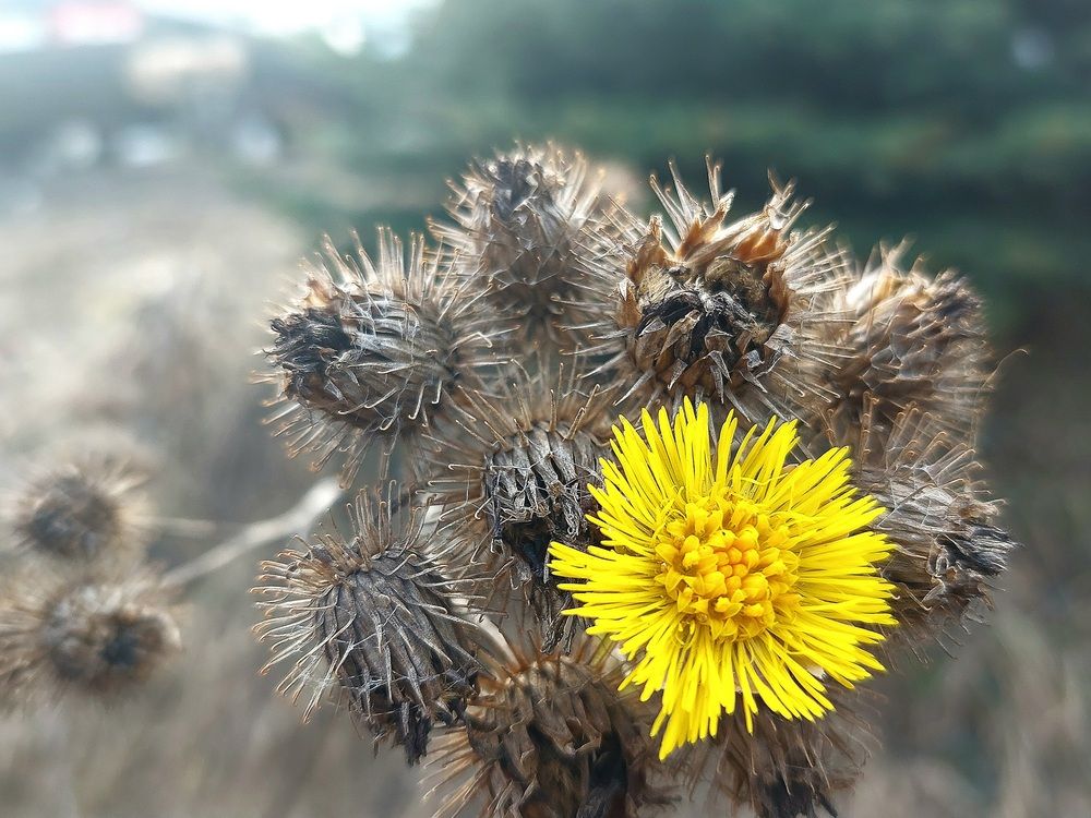 Фотография автора Сергей Можаев