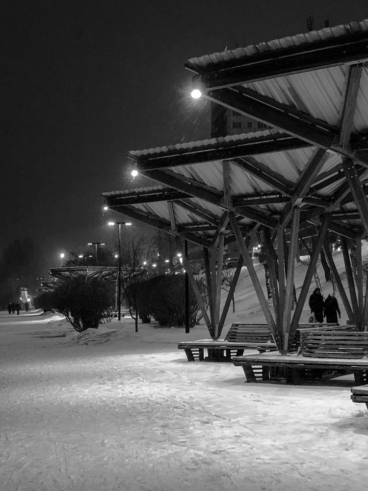 Фотография автора Светлана Гончарова