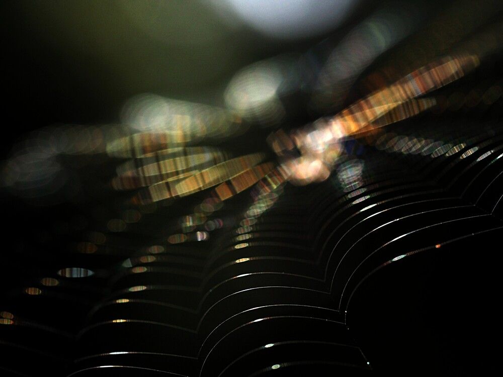 Photograph by Татьяна