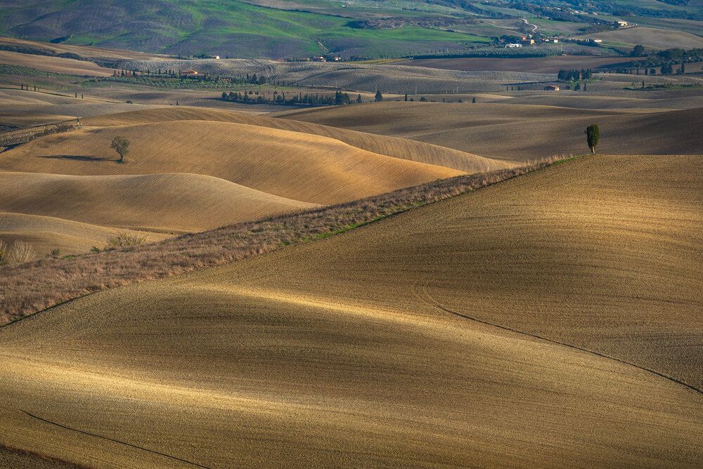 Photograph by Stefano Gelli