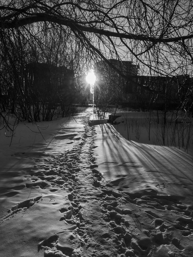 Фотография автора Андрей Данильсон