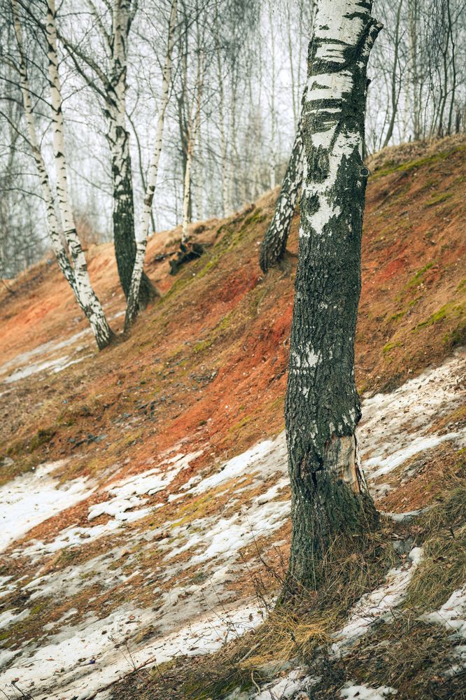 Фотография автора Анастасия Ларина
