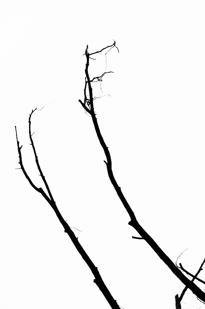 Photograph by Александр Иванов