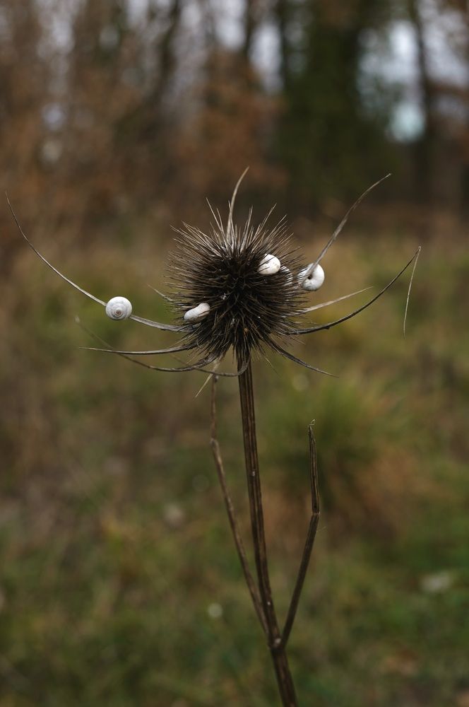 Photograph by Marina Odintsova