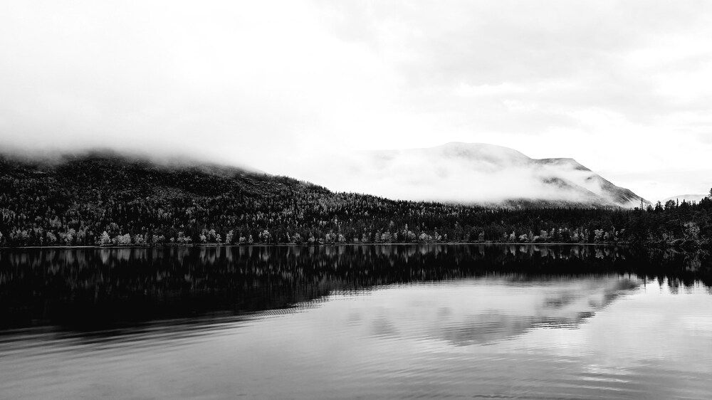 Photograph by Анна Семенова