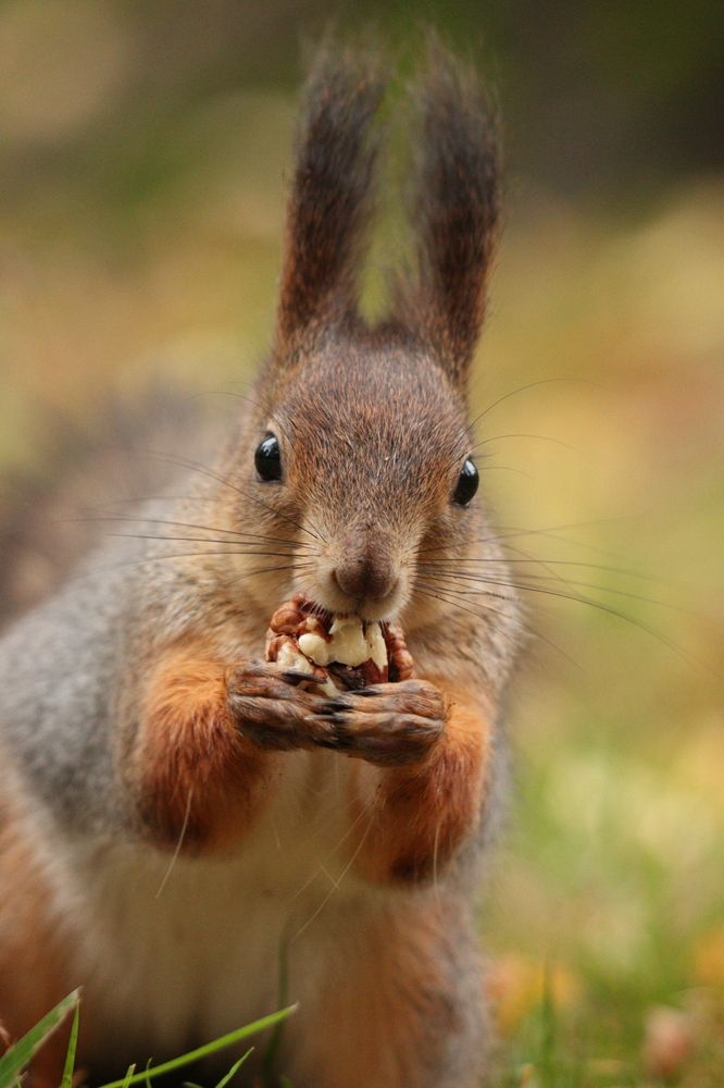 Photograph by Ангелина Высочина