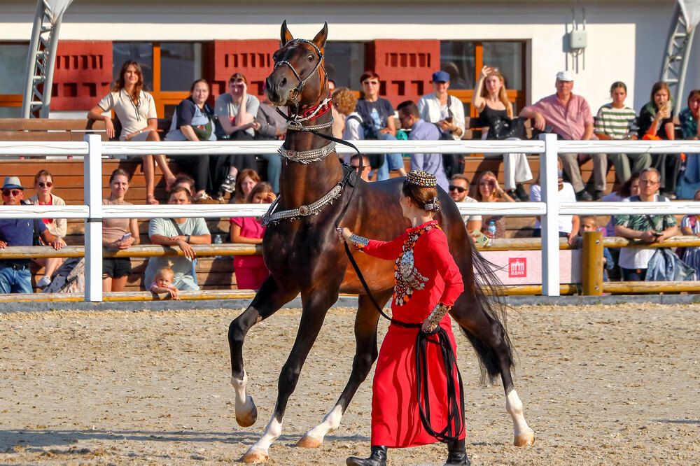 Фотография автора Светлана Долотова