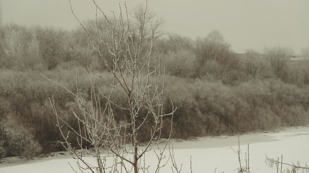 Photograph by Александр Климов